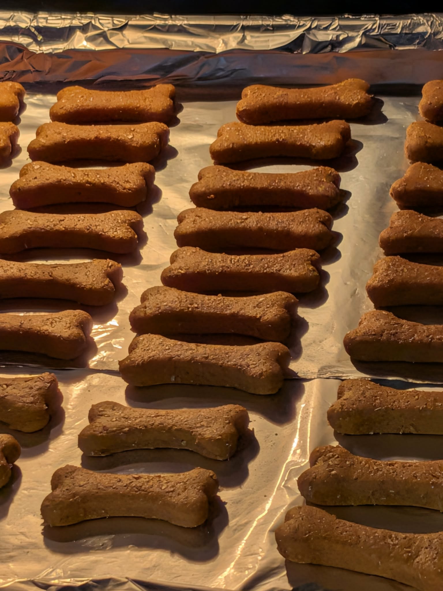 Peanut Butter & Pumpkin Dog Treats (100g)