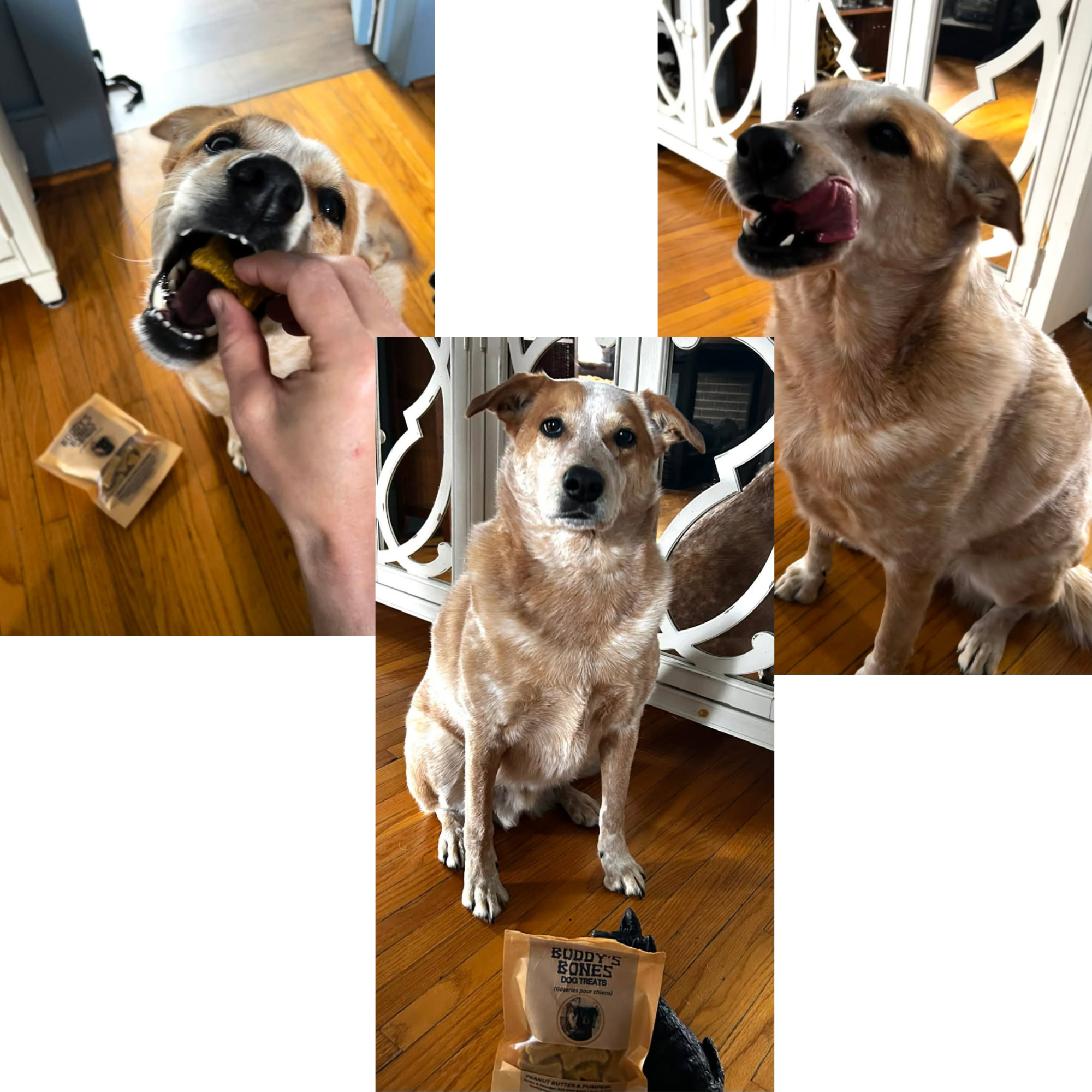 Banana & Peanut Butter Dog Treats (100g)