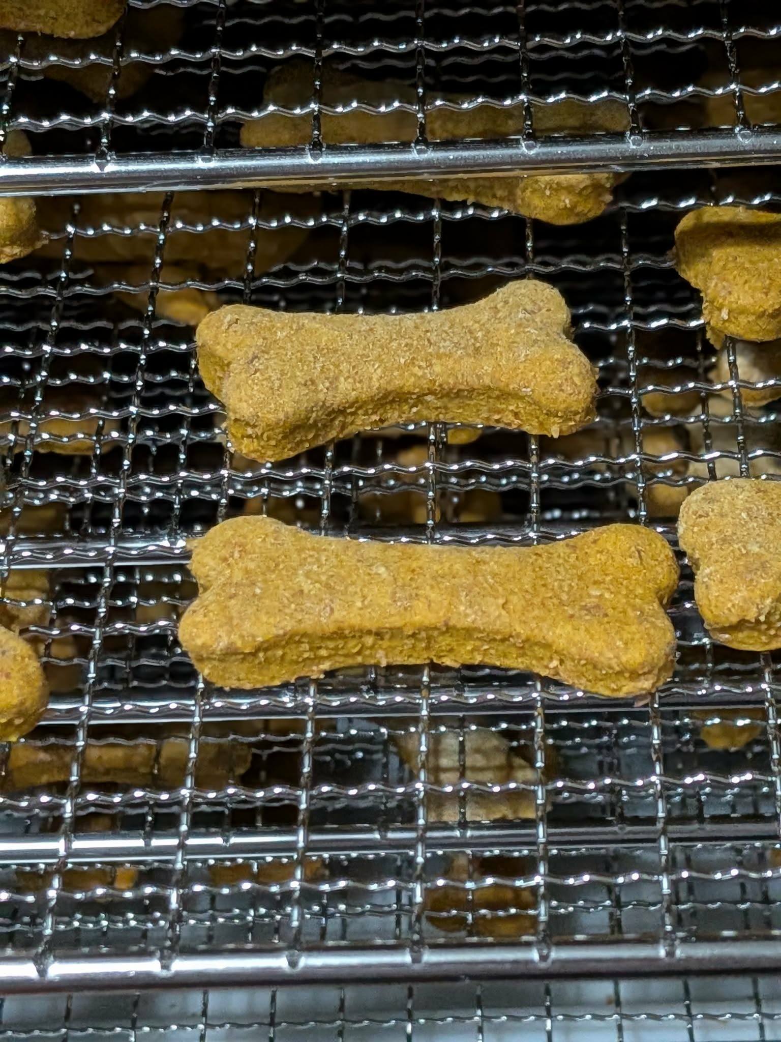 Peanut Butter & Pumpkin Dog Treats (100g)